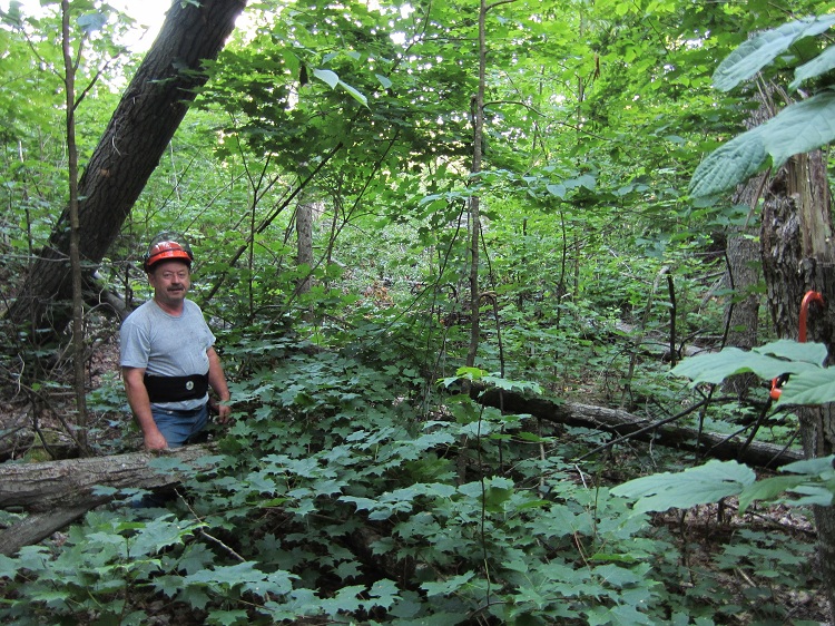 Brushing Africa Lake Trail 001a.jpg