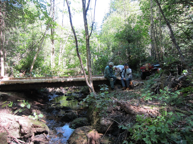 THE BRIDGE THAT AL BUILT 039.JPG