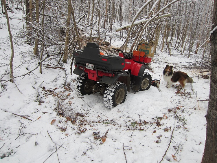 roy and sam cutting wood 002.JPG