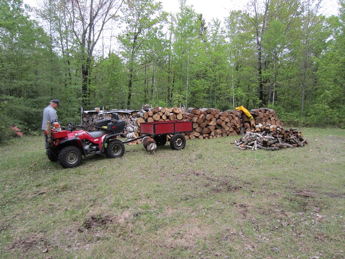 HAULING WOOD 003.JPG