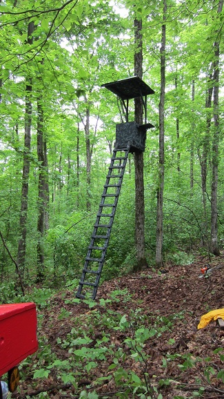 TREESTAND INSTALLATION 009.JPG