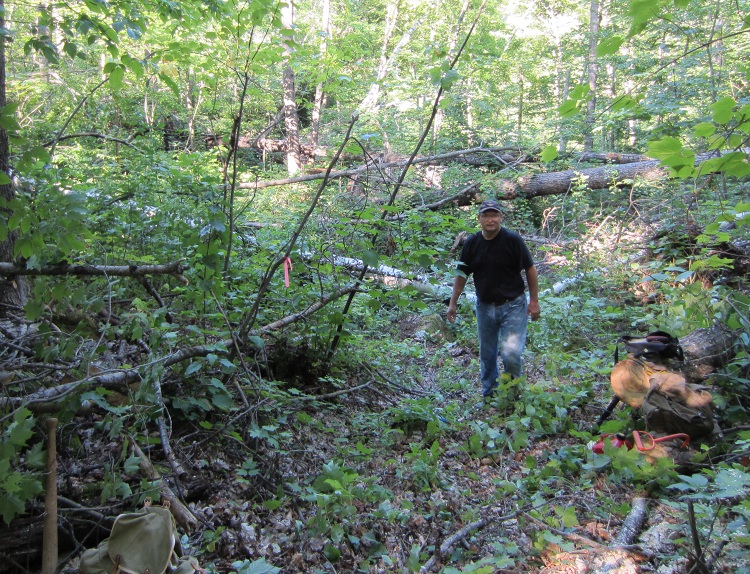 Brushing Africa Lake Trail 007a.jpg